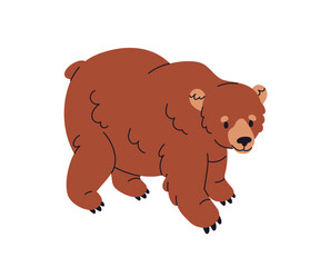 Brown bear. Large wild forest mammal with hairy fur. Big carnivorous beast. Wildlife, European woodland animal. Predator, carnivore. Flat vector illustration isolated on white background