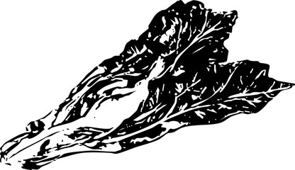 Vintage Food & Drinks Illustration