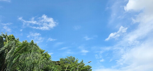 Summer sky with scattered white clouds. View from below shows the branches of a large tree and a clear sky. Cloudy blue sky with trees.  fresh green leaves. blue sky with clouds, Blue background
