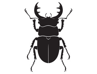 Fototapeta premium STAG BEETLE SILHOUETTE