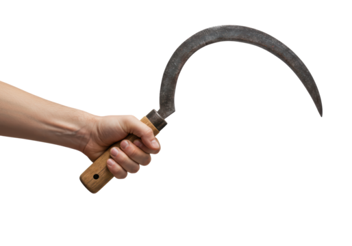 Isolated sickle in hand, agriculture harvest tool, vintage metal blade cutting implement