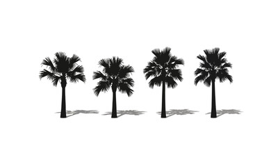 Stylized silhouette of a tropical palm tree with lush fronds isolated on a clean white background isolated on white background