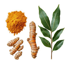 Turmeric powder, root and leaf isolated on transparent background, a vibrant and healthy spice