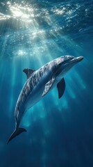 Naklejka premium Dolphin in sunlit ocean depths (1)