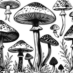 Hand-drawn mushroom line art vector, abstract doodle fungi food outline, clean black and white sketch