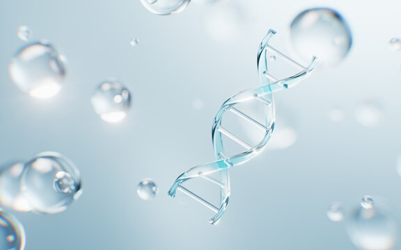 Transparent DNA and water bubbles, 3d rendering.