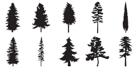 Obraz premium Silhouette of pine trees, Silhouettes of Christmas trees, various types . Silhouettes of evergreen trees in a forest setting . 