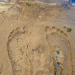 footprints in the sand. water and prints in the sand. woman legs or baby boy,kid,child barefoot feet on sand beach.girl is relaxing against sea or ocean.water waves washing steps, or heart shape.