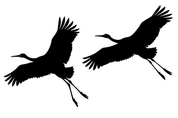Crane in flight silhouette illustration