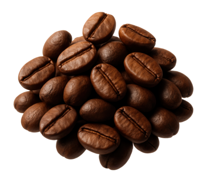 Whole coffee beans, organic, slightly uneven shape