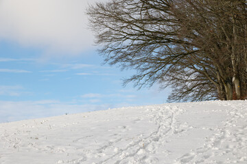 Fresh footprints on a snow-covered hill with a blue sky