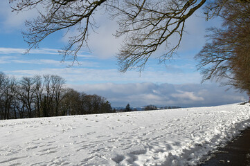 Peaceful winter path with falling snow