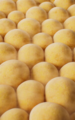 Biomedical microscopic fat cells structure, 3d rendering.