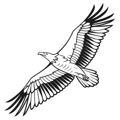 Illustration of an eagle in flight, , showcasing its powerful wings and majestic presence in the sky