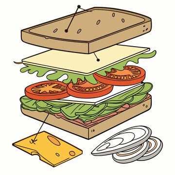 Vector art of exploded sandwich diagram showing the individual ingredients and layers perfect for recipe or food illustration