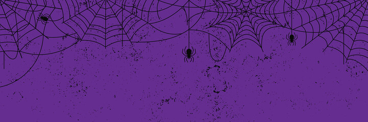 Black Spider Web and spiders on purple grunge background. Halloween Spooky cobweb hanging , vector Illustration