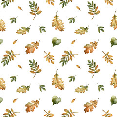 Naklejka premium Oak Rowan Leaves Autumn forest gold foliage Watercolor hand painted floral seamless pattern on white background for fall design cozy prints cute home textile botanical wrapping paper wallpaper fabric