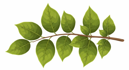 Fototapeta premium Detailed illustration of a branch with multiple green leaves, showcasing natural growth and organic textures.