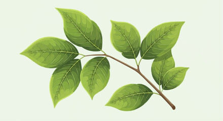 Fototapeta premium A detailed illustration of a branch with vibrant green leaves, showcasing natural botanical elements on a light background.