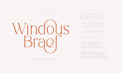 Windous Braef Alphabet Typeface with Elegant Flowing Serif Design