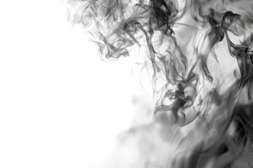 Fototapeta premium Ethereal plumes of dark smoke rise and swirl against a clean, white background. A wispy, abstract composition