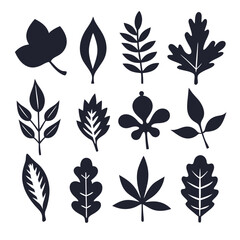 Twelve distinct leaf silhouettes appear in a contrasting monochrome palette against a bright background