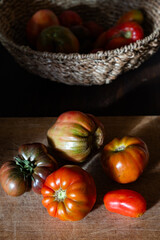 organic ripe tomatoes freshly picked