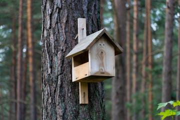 wooden bird house