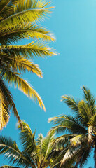 Low-angle view of palm trees against a clear blue sky.
