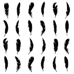 Various elegant black feather silhouettes demonstrate diversity and grace on a clean white background
