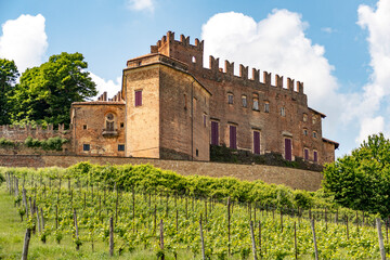 Piemonte - Monferrato - Viarigi - Panorami della campagna - Sfondi desktop