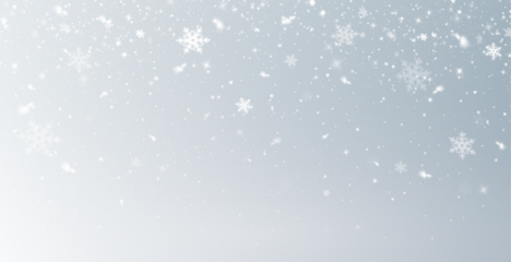 Falling snow snowfall snowflake snowflakes snow overlay action. PNG winter snow effect, PNG photo editing with transparent background adds festive shine. Overlay perfect for seasonal design.	