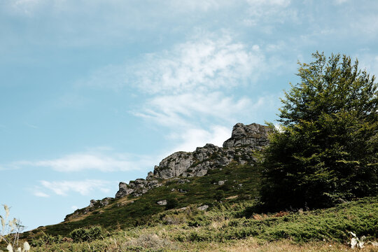 Sloping rocky ridge of Babin Zub mount in Stara Planina National park with green vegetation and a tree on the right side, under a bright sky. Serbia country