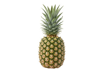 Fresh Pineapple Isolated on White Background.