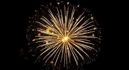 Radiant burst of golden pyrotechnics illuminating a pristine dark night sky