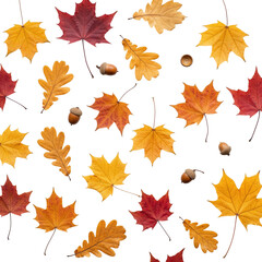 A seamless pattern of colorful autumn maple and oak leaves with acorns, perfect for fall season designs, backgrounds, or seasonal promotions.
