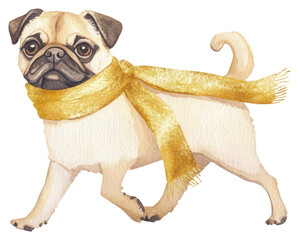 PNG Christmas pug gold scarf watercolor animal dog.