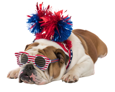 Patriotic Bulldog Celebrates Independence Day with Red White and Blue Accessories Sleepy Pup Posing for July 4th Holiday Festive Dog Relaxing
