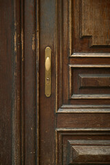 Detailed close-up of a section of historic wooden door showing brass keyhole, handle, protective plate, and textured aged wood.