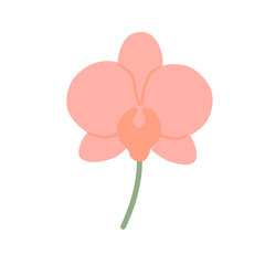 Flat Pastel Orchid Flower Illustration PNG