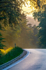 Bieszczady asphalt road in the forest, curve illuminated by sunlight, picturesque mountain natural...