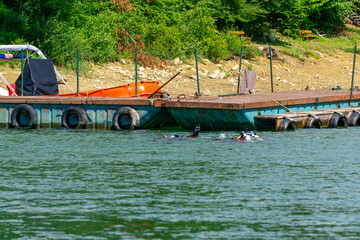 Fire brigade divers during training in Solina Lake, near the pier and water equipment.
