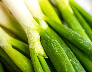 Fototapeta premium Close-up view of fresh green onions, showcasing vibrant color and detailed textures.