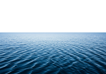 Endless Ocean Horizon