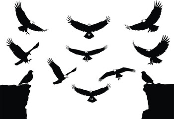 Black silhouettes of flying eagles and perched doves on cliffs, wildlife freedom concept, bird shapes in flight, symbolic nature scene, migration, confrontation