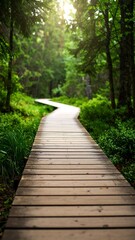 Obraz premium A wooden walkway winds through a lush forest, bathed in soft sunlight, leading into a serene and tranquil wilderness.