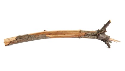 Fototapeta premium Broken branch isolated on white