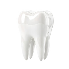 Realistic 3d rendered human molar tooth showing enamel and roots isolated on transparent background