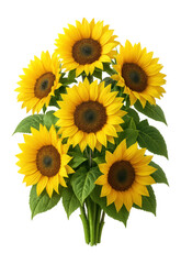 Fototapeta premium Sunflower bouquet with large yellow petals and green foliage