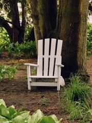 wooden bench in the park
